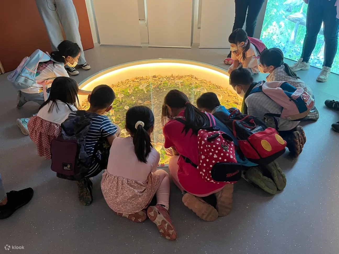 雾峰菇类产学馆