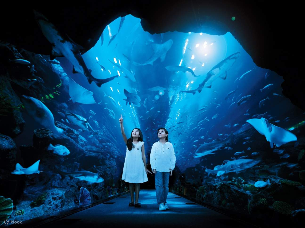 two kids standing in the middle of the dubai aquarium