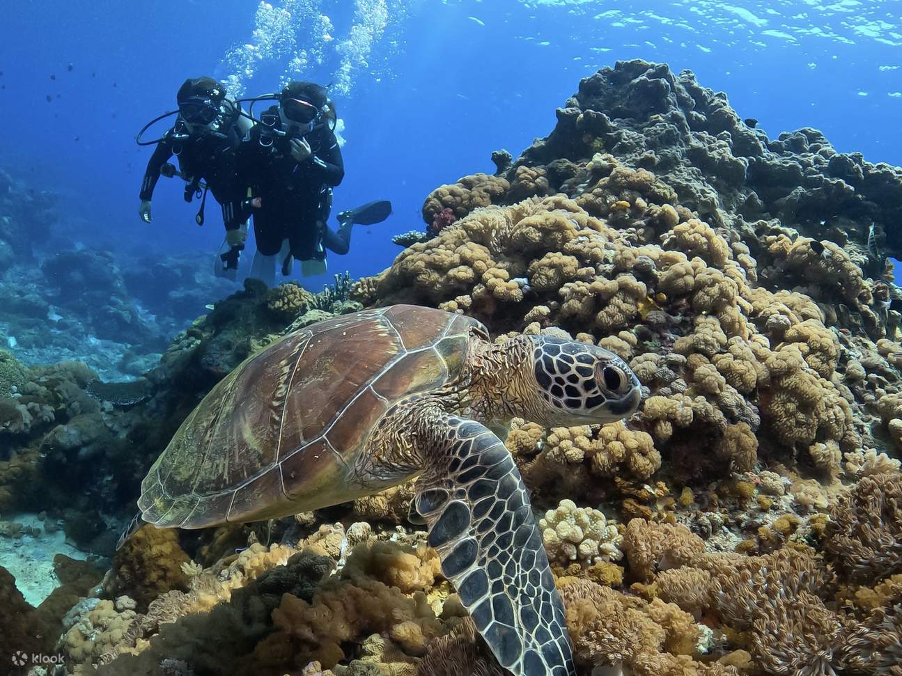 Taitung: Green Island Shuiqing Diving Hostel Taucherlebnis