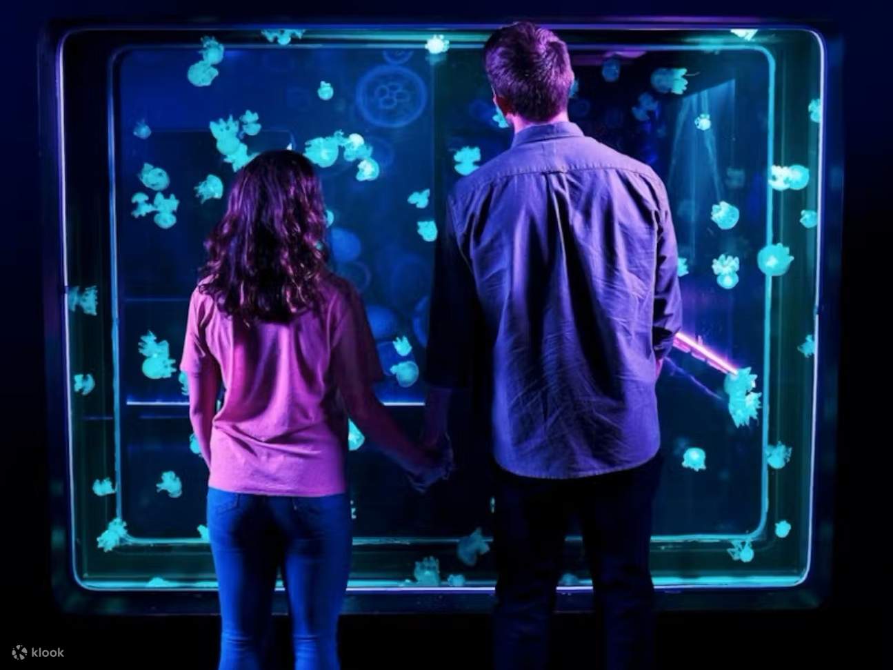 Познакомьтесь с интерактивными экспонатами, демонстрирующими морскую жизнь из океанов со всего мира