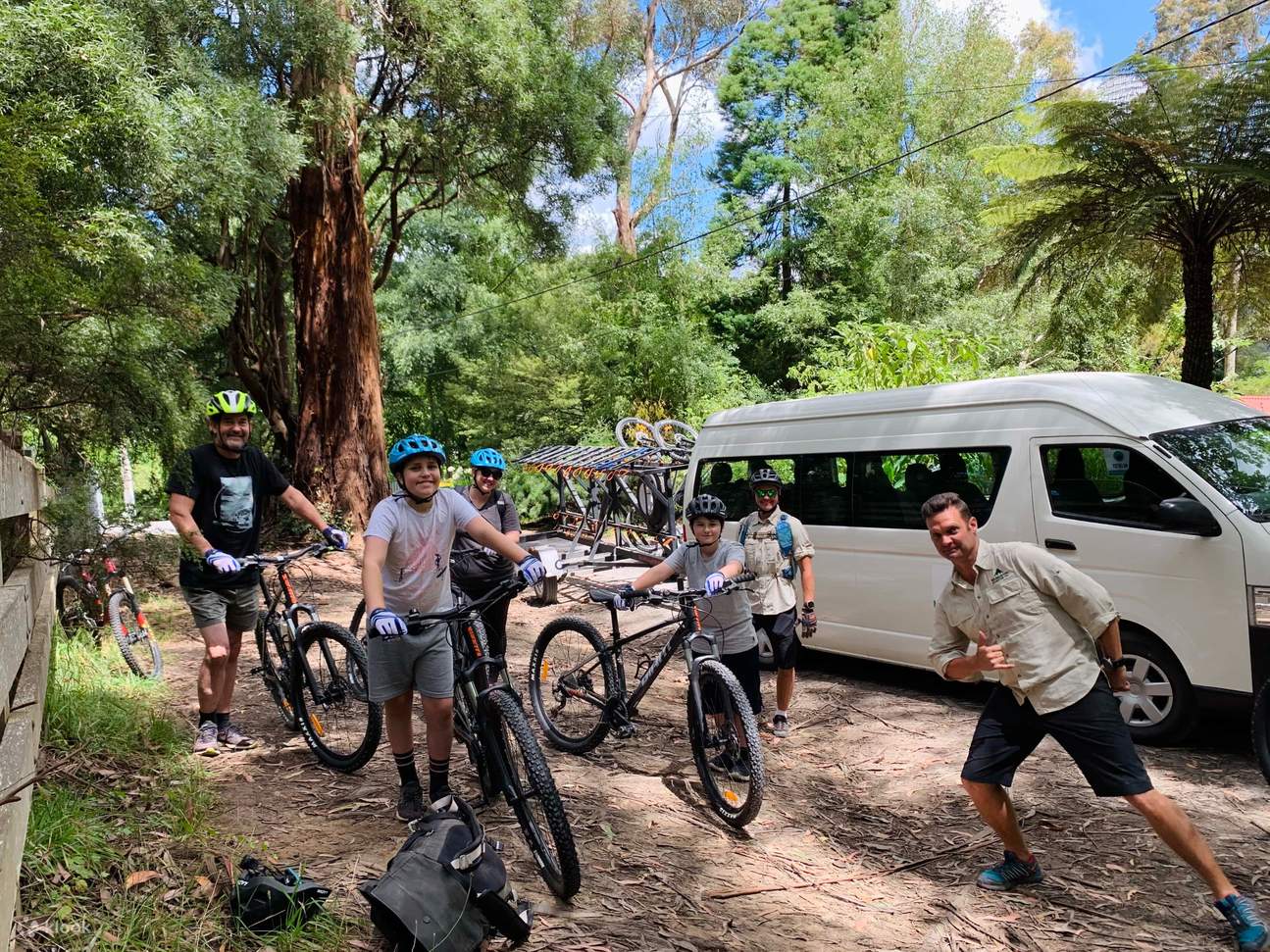 Redwood Forest Mountain Bike Adventure Klook India