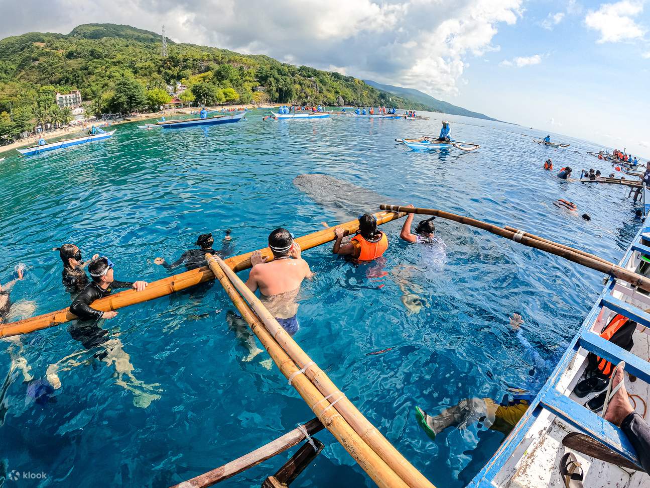 Giro in barca verso punti di snorkeling con squali balena