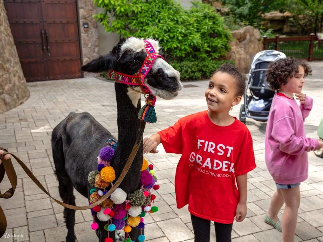 Nashville Zoo - Entrada Acceso Rápido