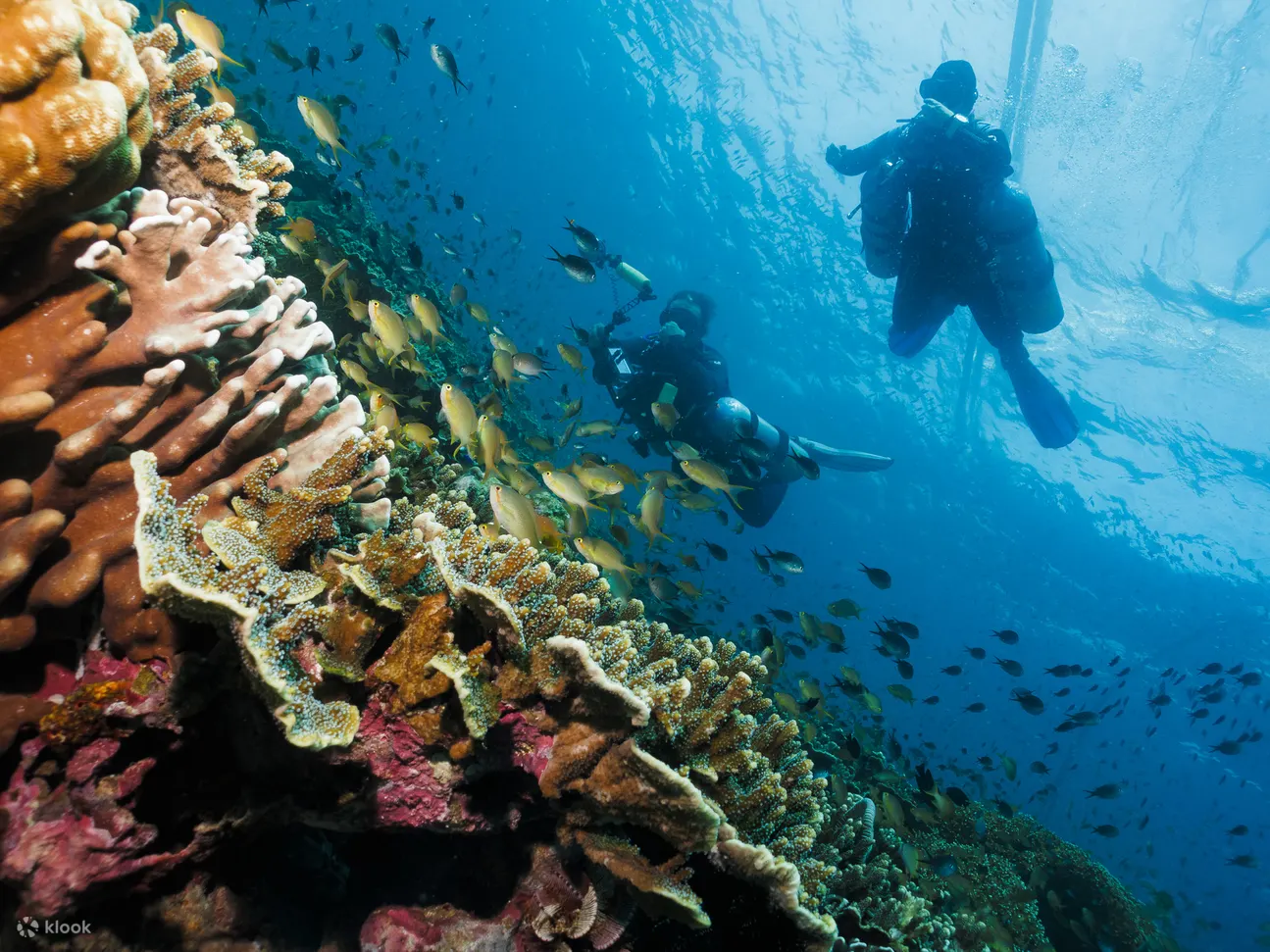 PADI 高氧空气潜水员