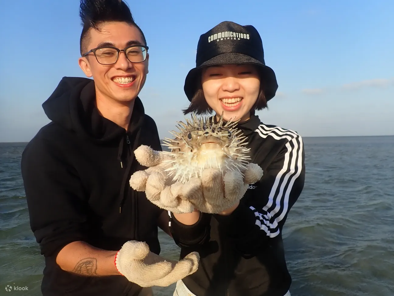 澎湖现抓石斑鱼体验
