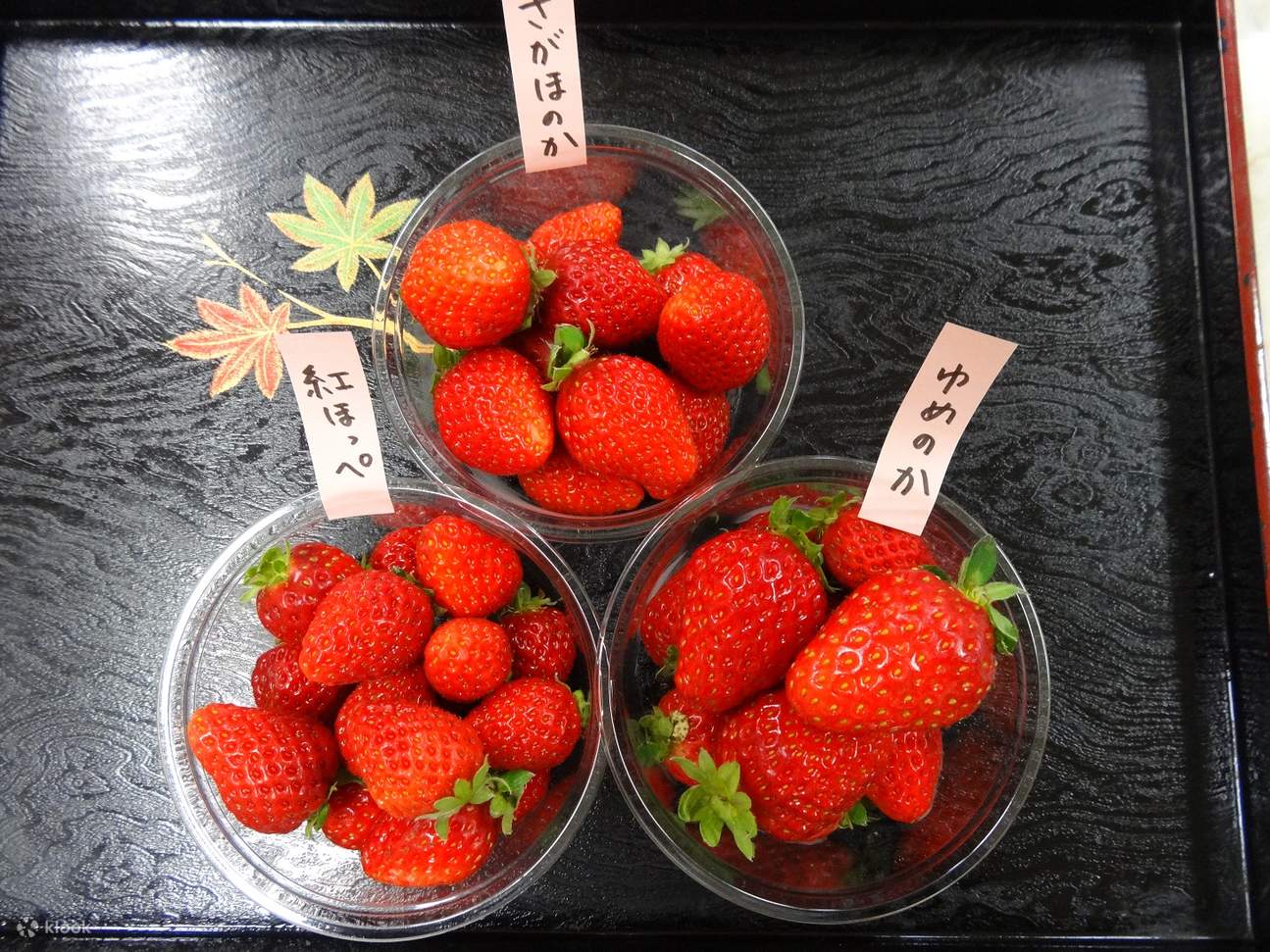 Wakayama Cherry Blossoms and Strawberry Picking Day Tour from Osaka Klook