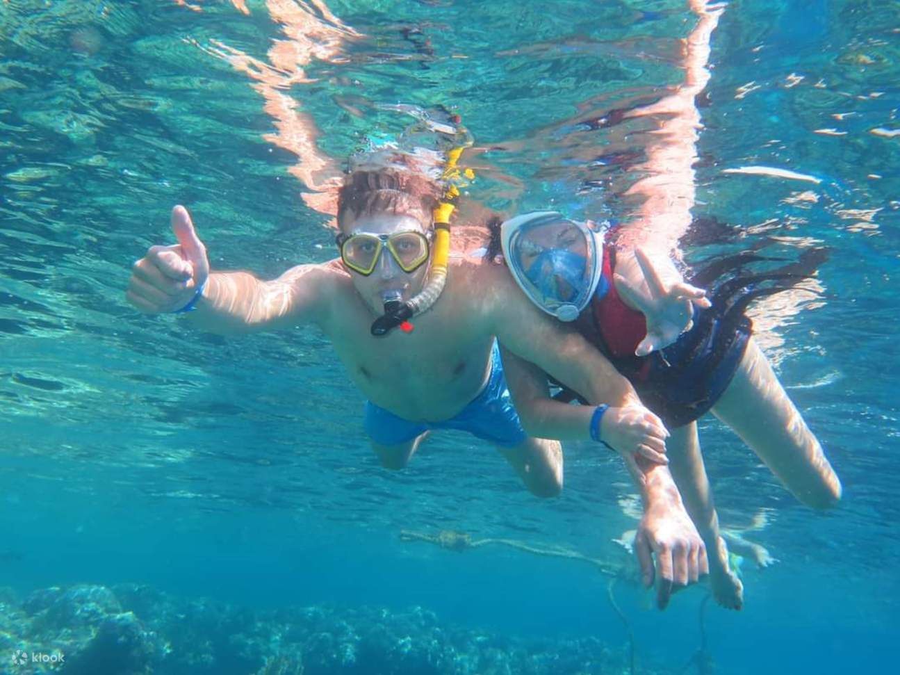 Nage avec les dauphins, excursion VIP de plongée en apnée avec déjeuner - Hurghada