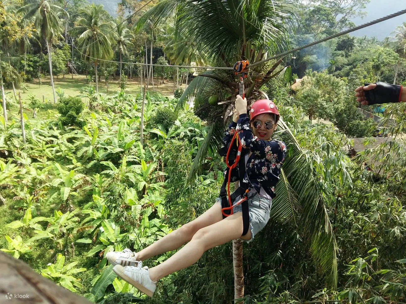 在苏梅岛茂密的雨林中进行激动人心的高空滑索冒险