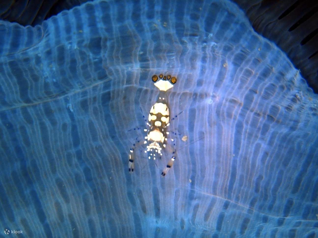 水下世界
