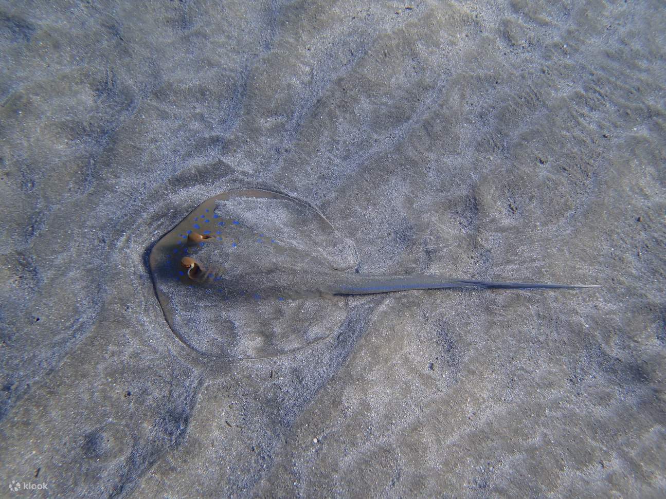 A picture-perfect spot for relaxation and underwater exploration.