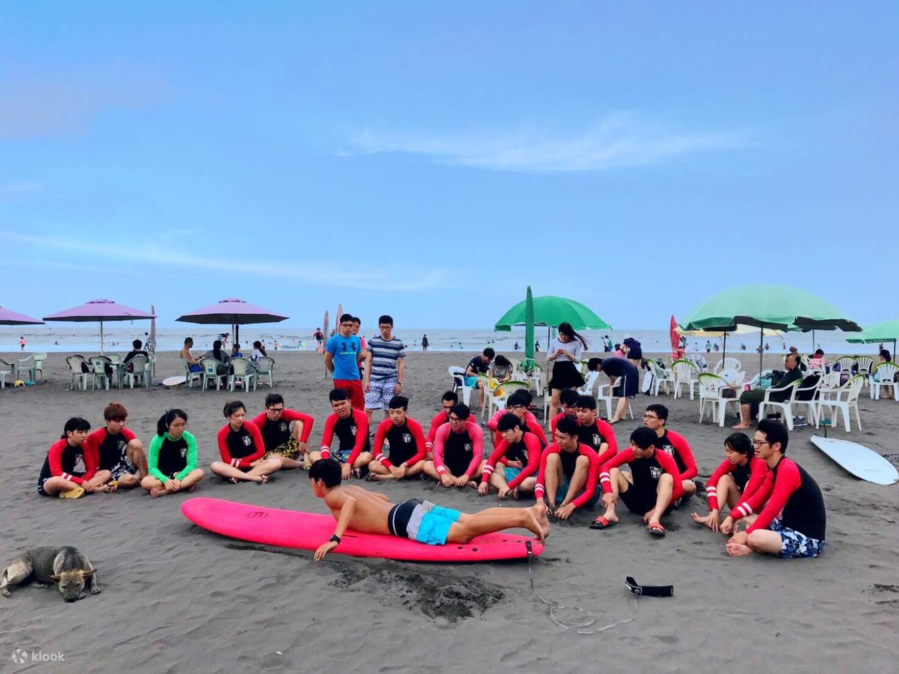 Professional instructors will guide you through the basic movements and techniques to help you successfully stand up on the surfboard and ride the waves.