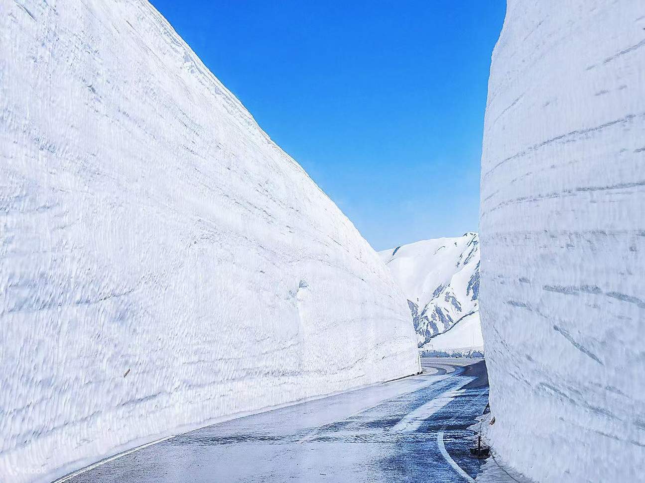 雪 の 大谷 英語
