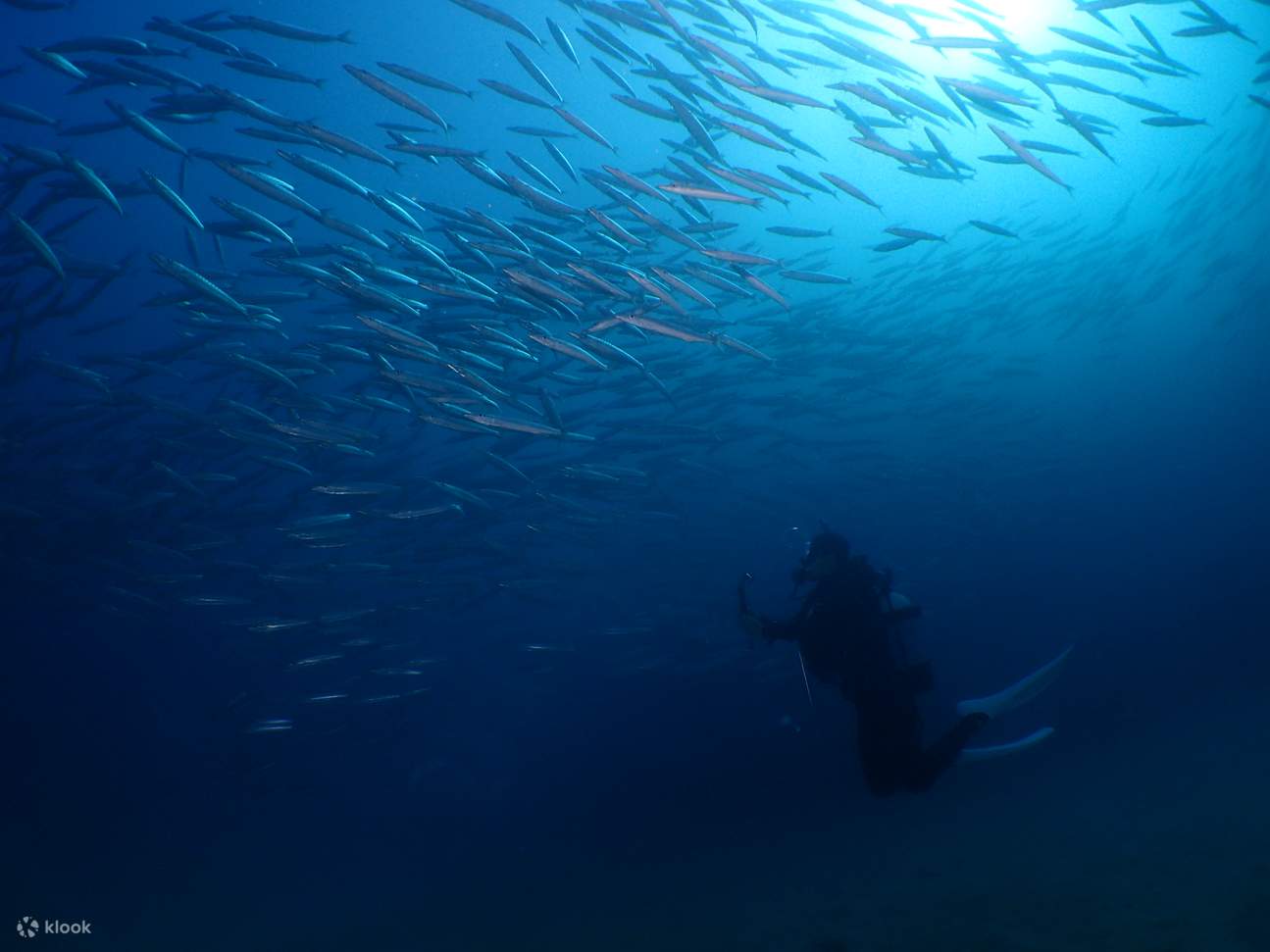 Genießen Sie das Schnorcheln im Meer von Okinawa