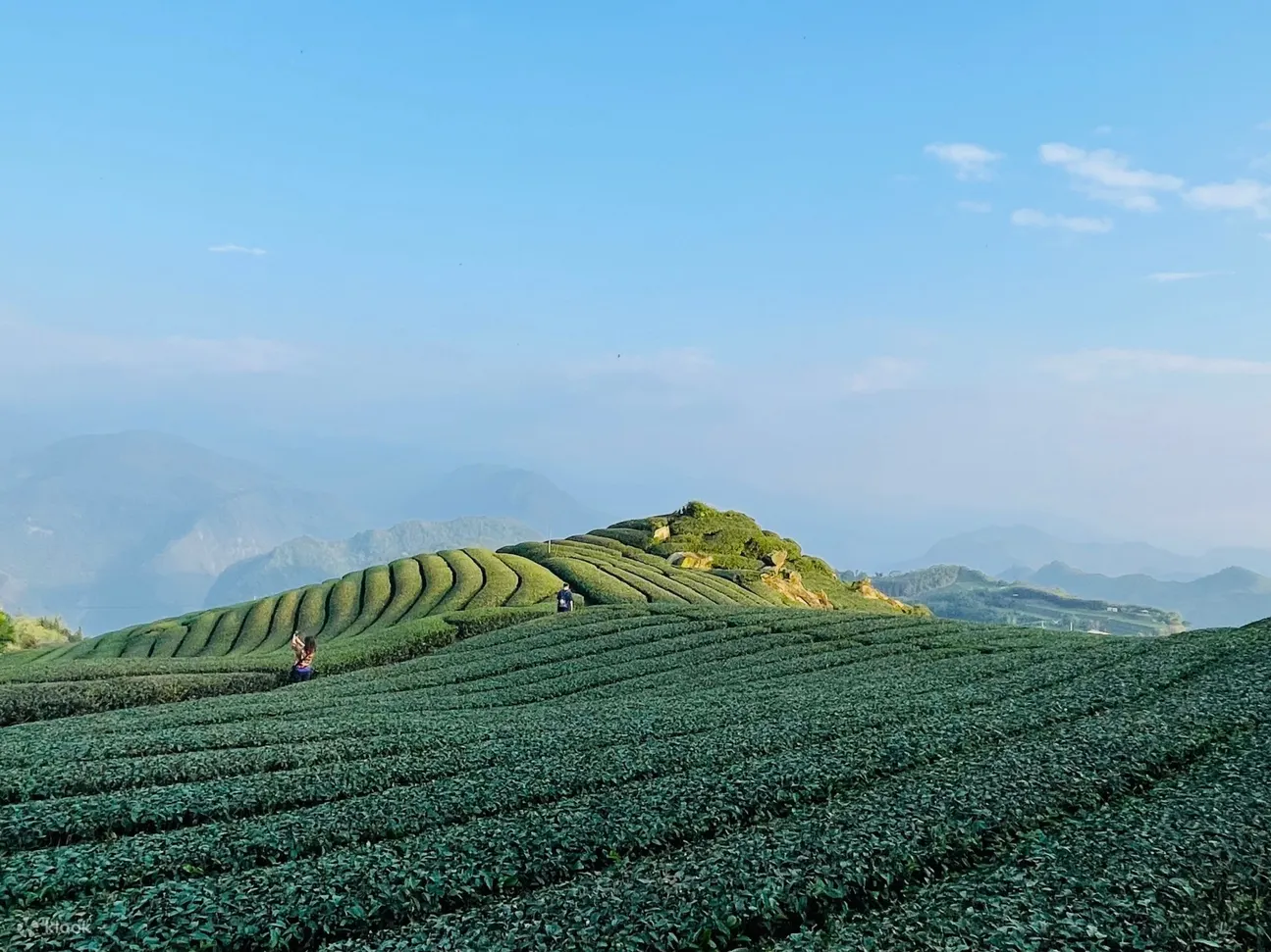 阿里山 & 奋起湖