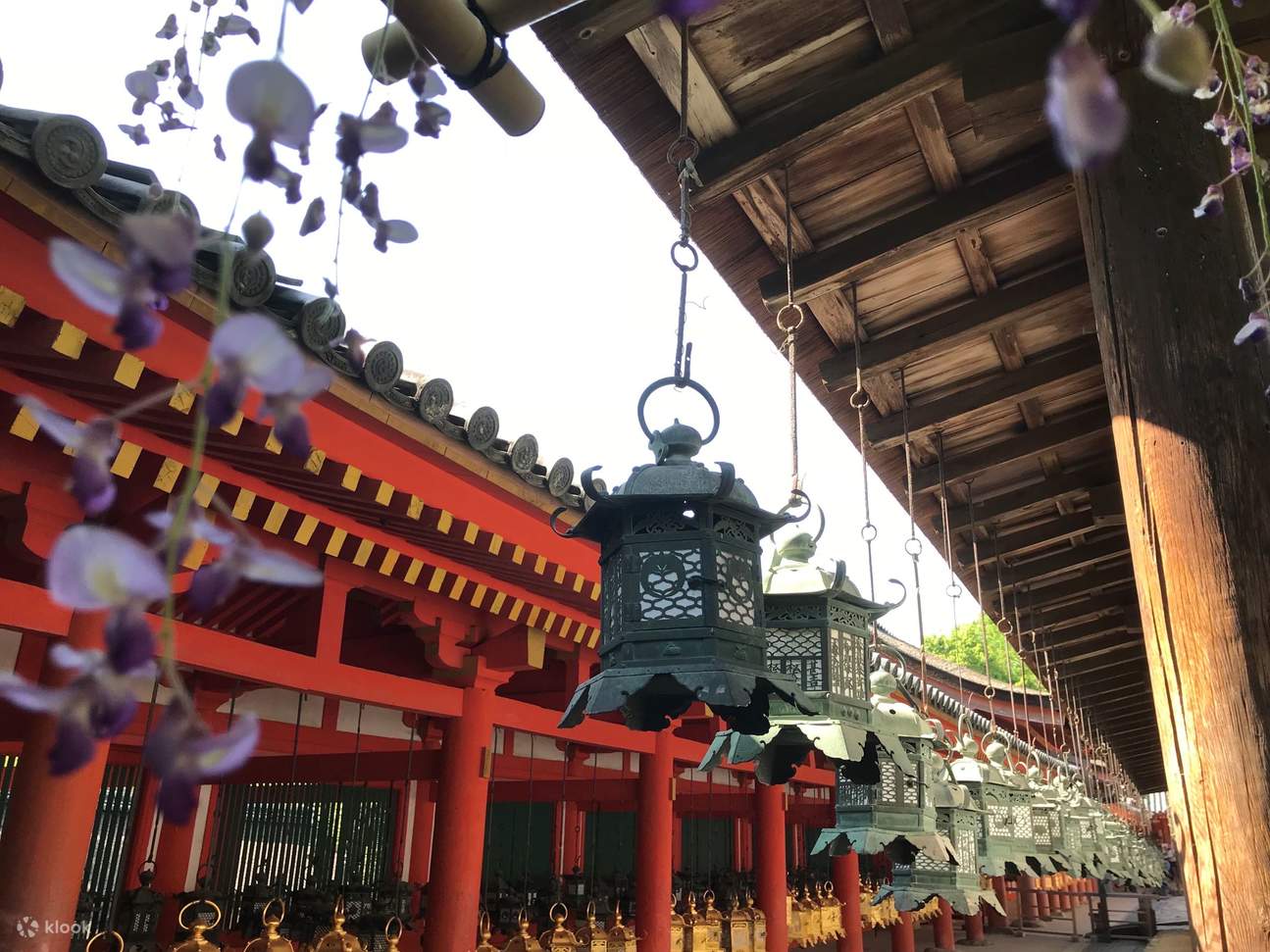 奈良、东大寺和春日大社巴士半日游与若草山（自费） - Klook客路