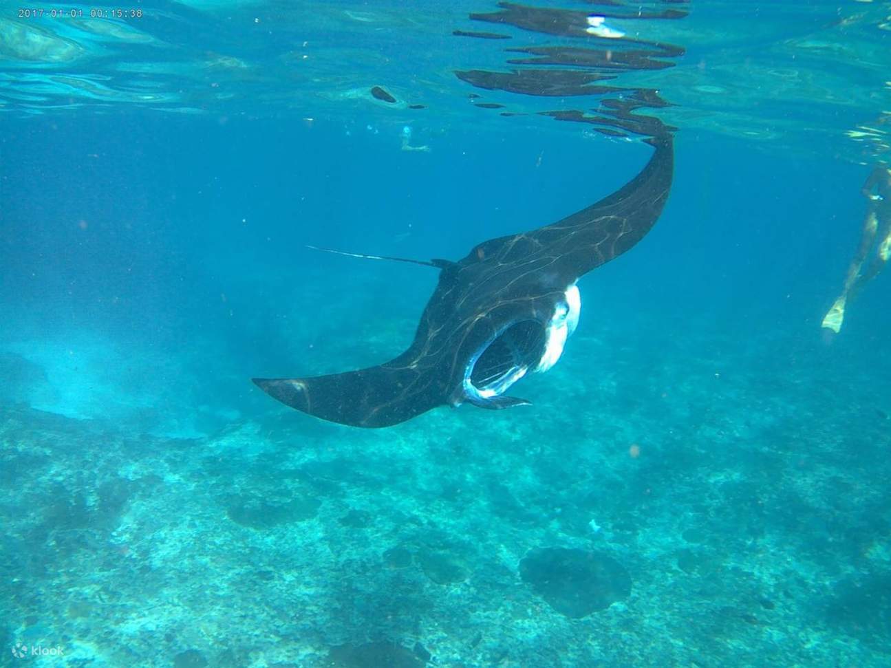 努沙蓝梦岛 & 曼塔湾浮潜体验