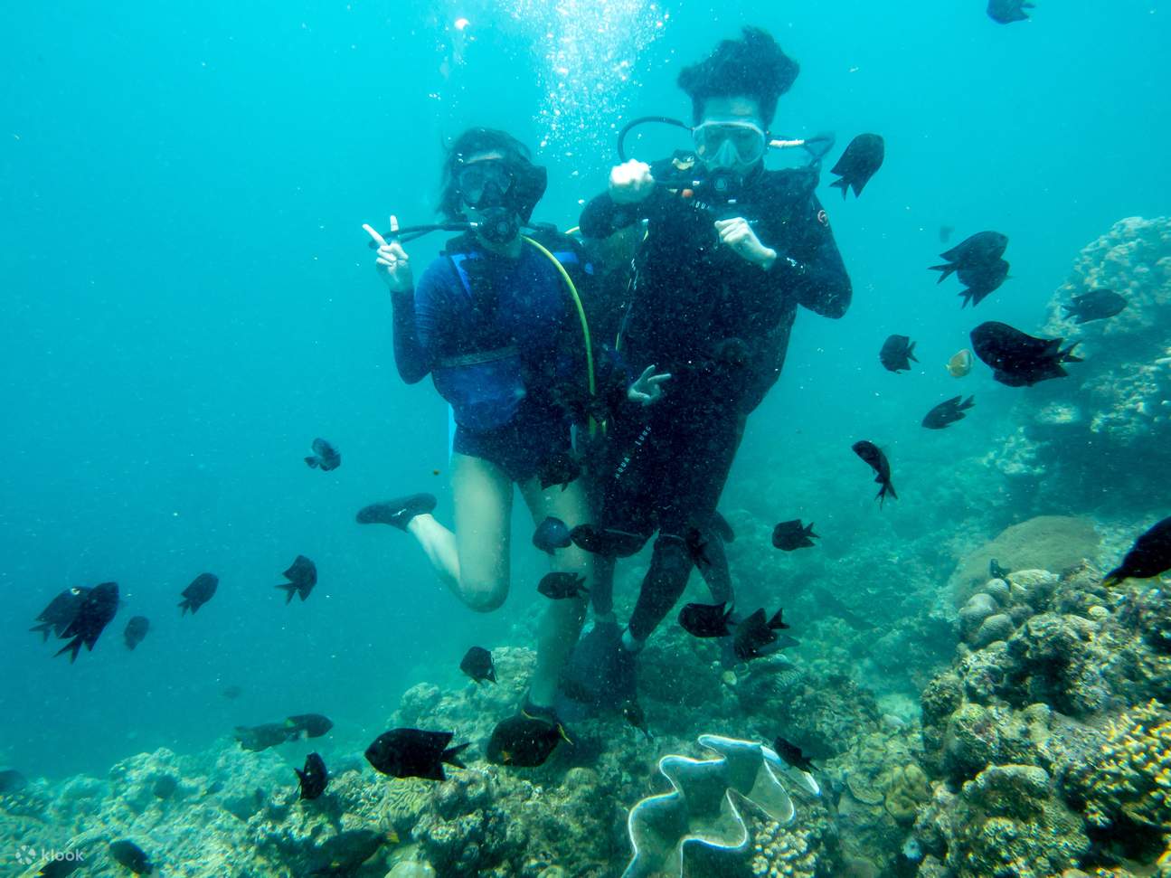 Bauan Island Hopping Tour with Diving in Batangas Klook