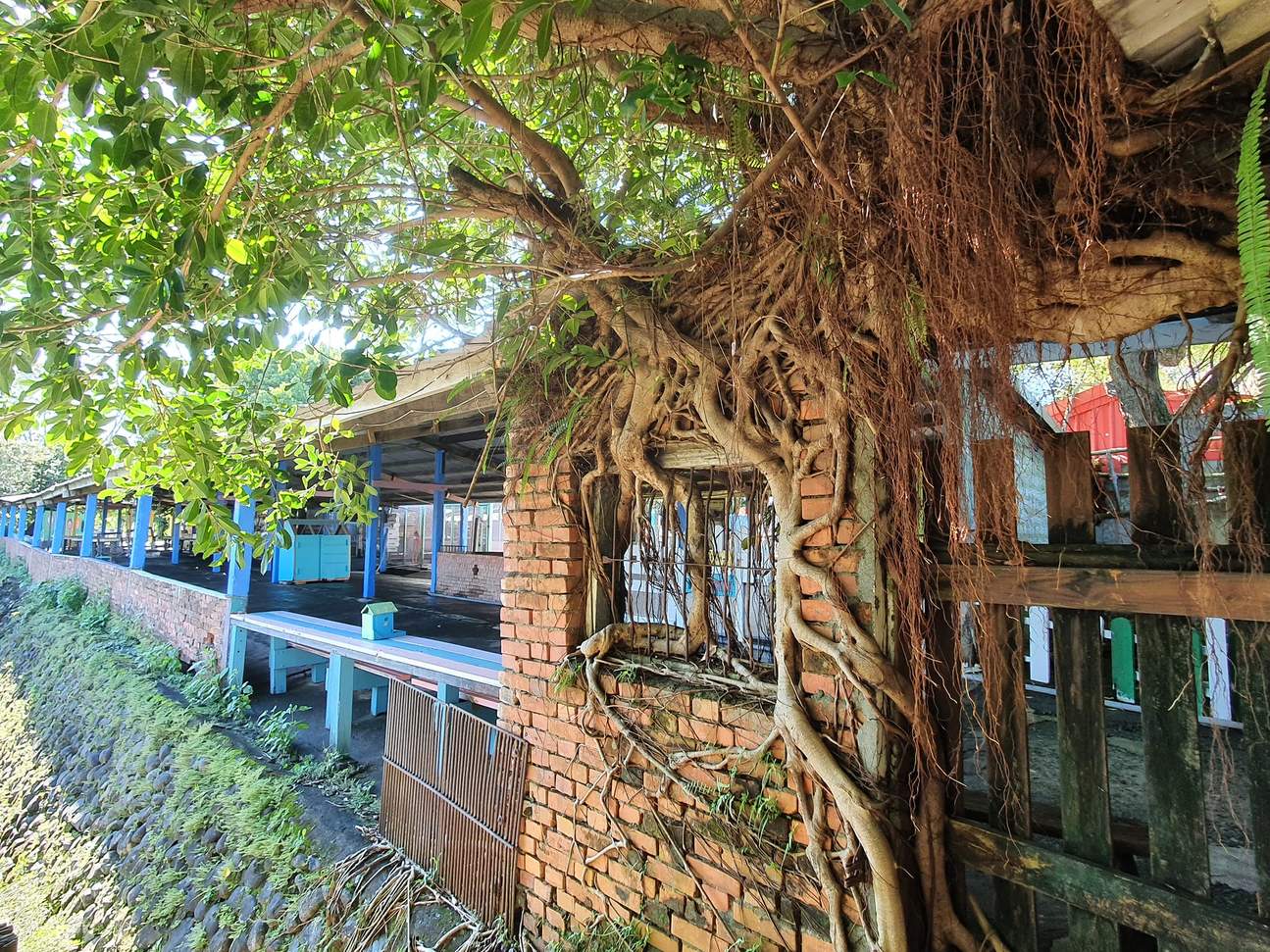 Guangxing Leisure Farm