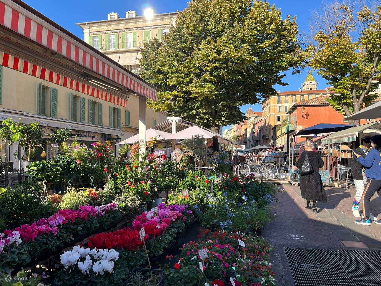 Nice Walking Tour with Tastings and