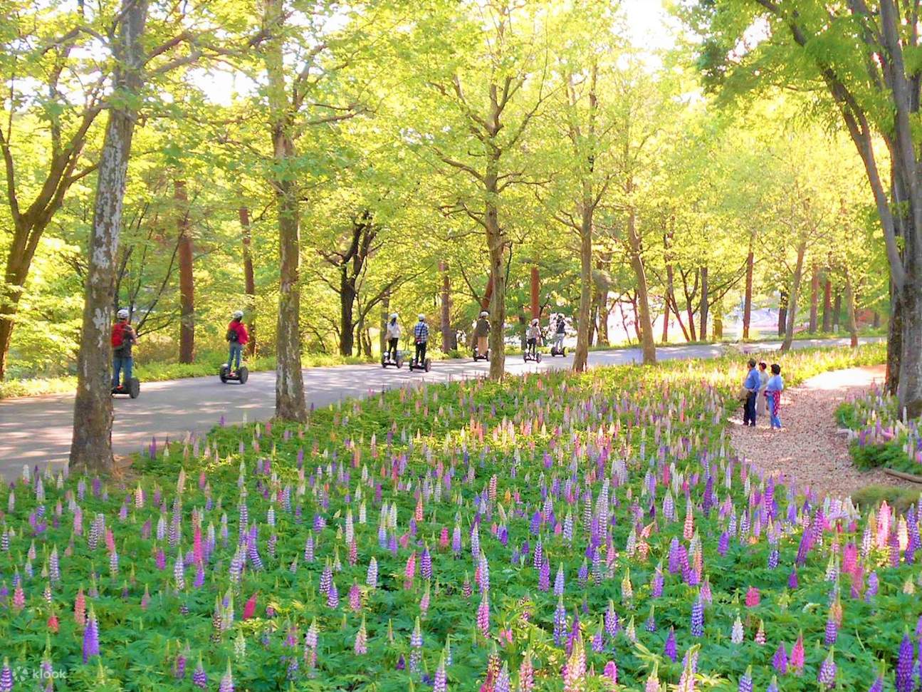 Saitama Forest Park Segway Tour