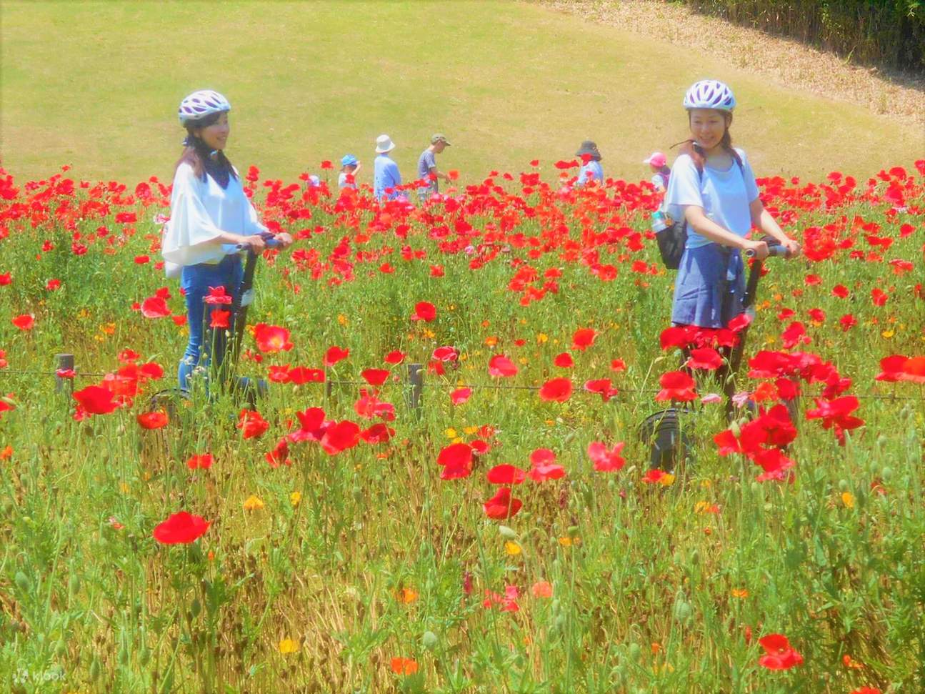 Saitama Forest Park Segway Tour