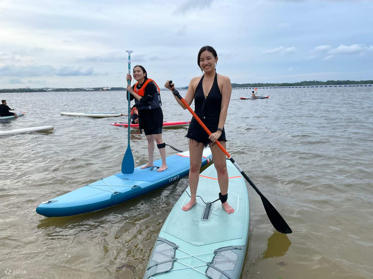 新加坡槳板體驗
