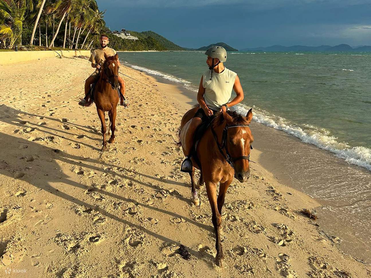 Koh Samui: Sunset Trail Horse Riding on The Beach - Klook