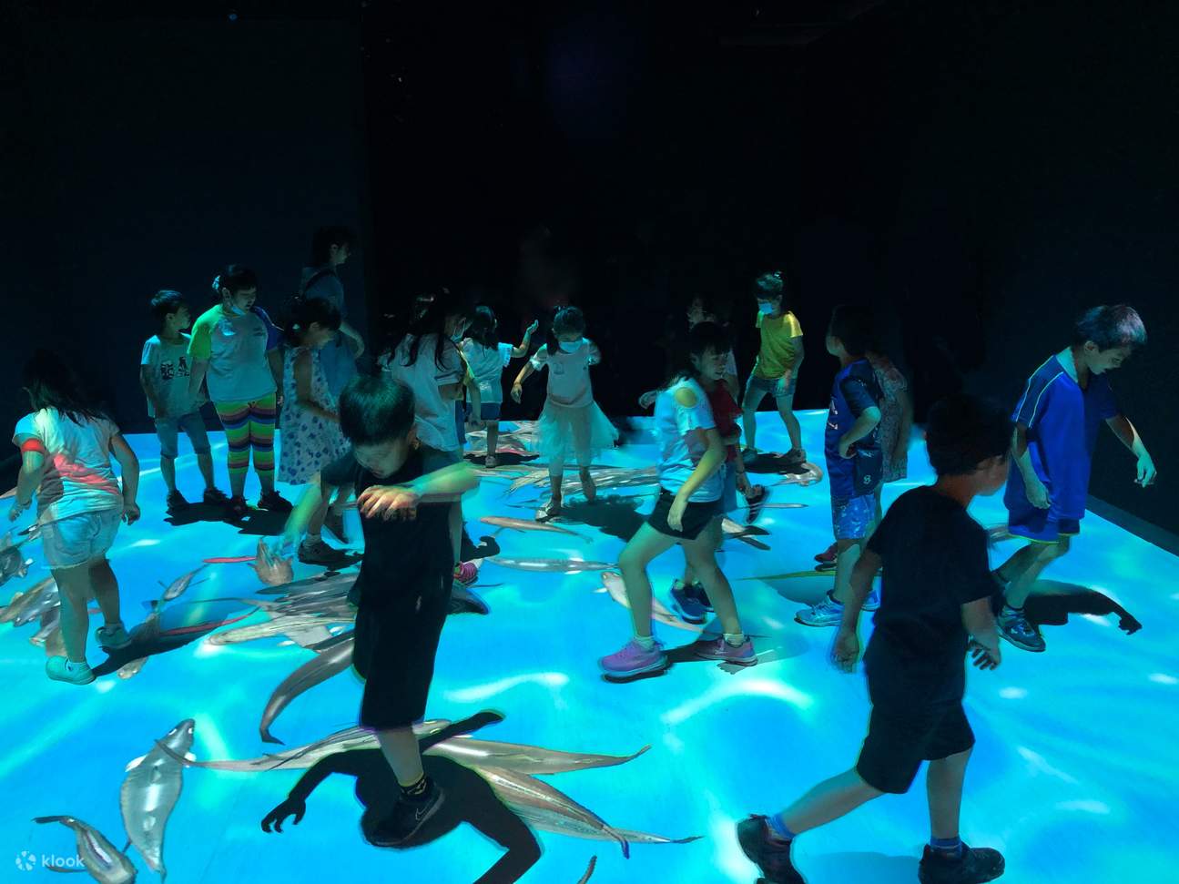 Experiencia de dispositivo interactivo