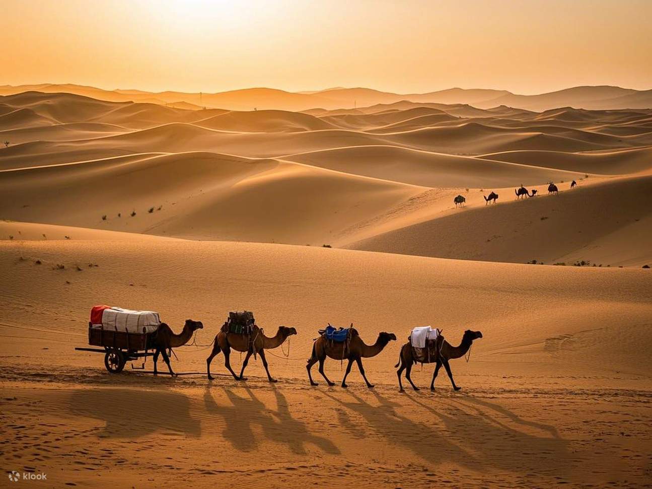 甘粛省敦煌入境4日間（敦煌山荘3連泊+又見敦煌ショー+東洋美学 莫高窟+