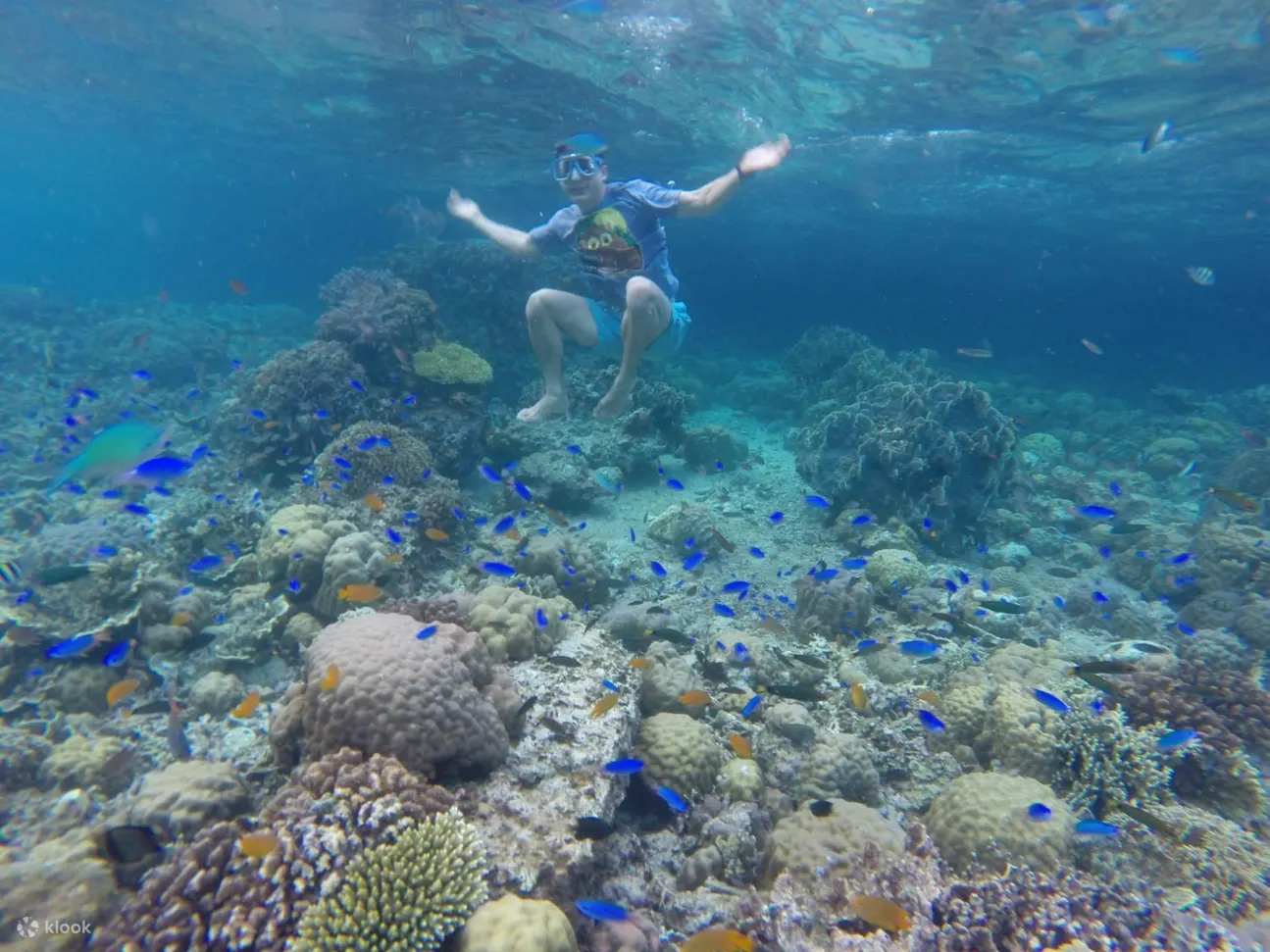 Corals at Pescador Island Snorkeling Join In Day Tour from Cebu