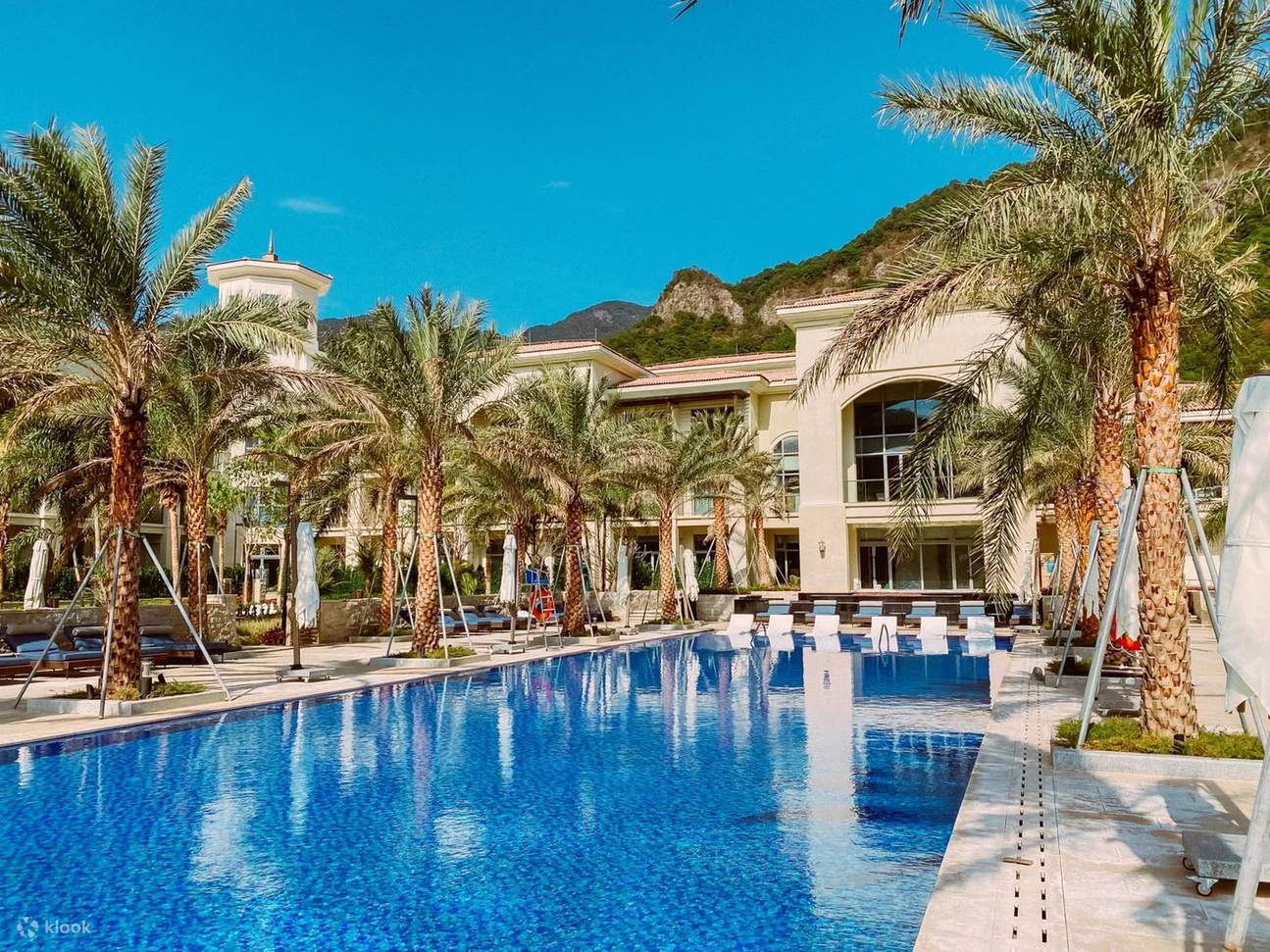 Khách sạn Cây Cọ, Thị trấn Chunmuyuan, Hà Nguyên