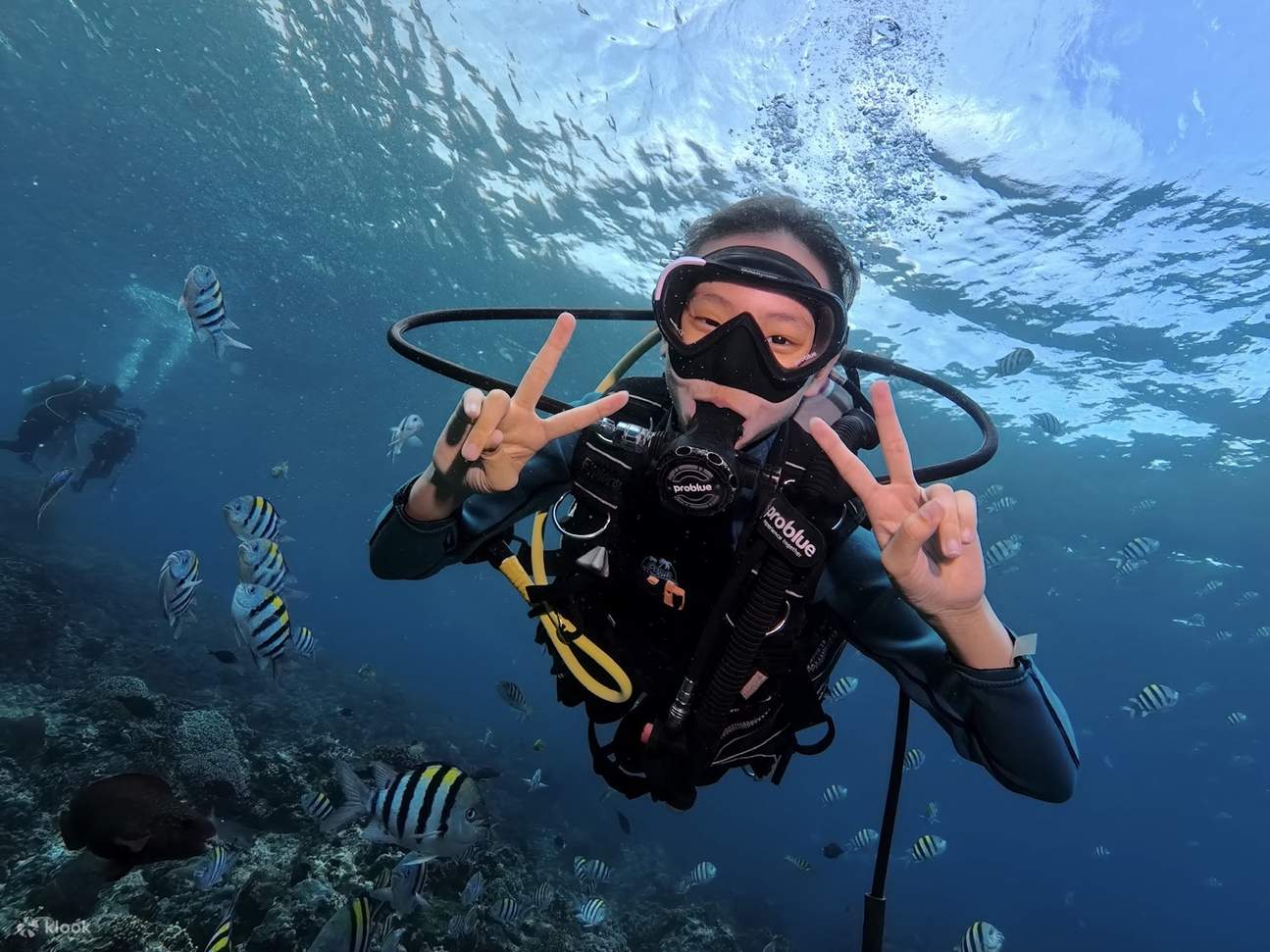 Taitung: Green Island Shuiqing Diving Hostel Taucherlebnis