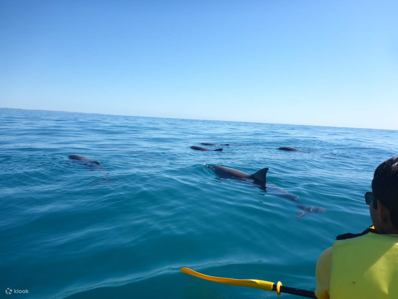 Surfez sur la plus longue vague d'Australie et vivez une aventure inoubliable sur la Great Beach Drive