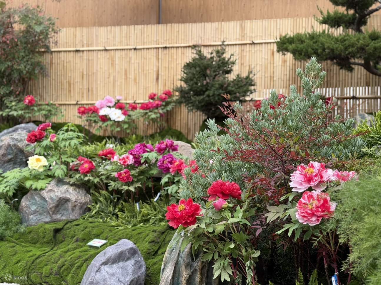 ฮัว ลู่ เลเชอร์ ฟาร์ม (Hua Lu Leisure Farm)