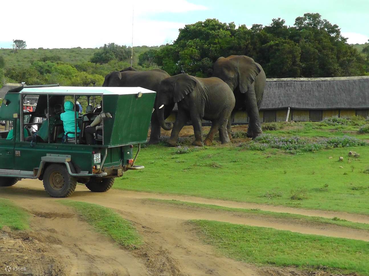 Port Elizabeth Airport To Addo Elephant Park