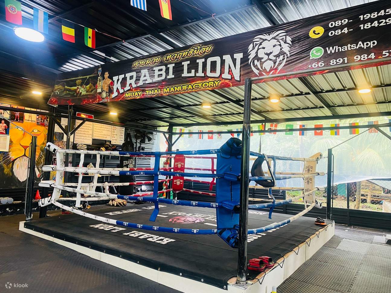 Krabi Lion Muaythai Class a Krabi