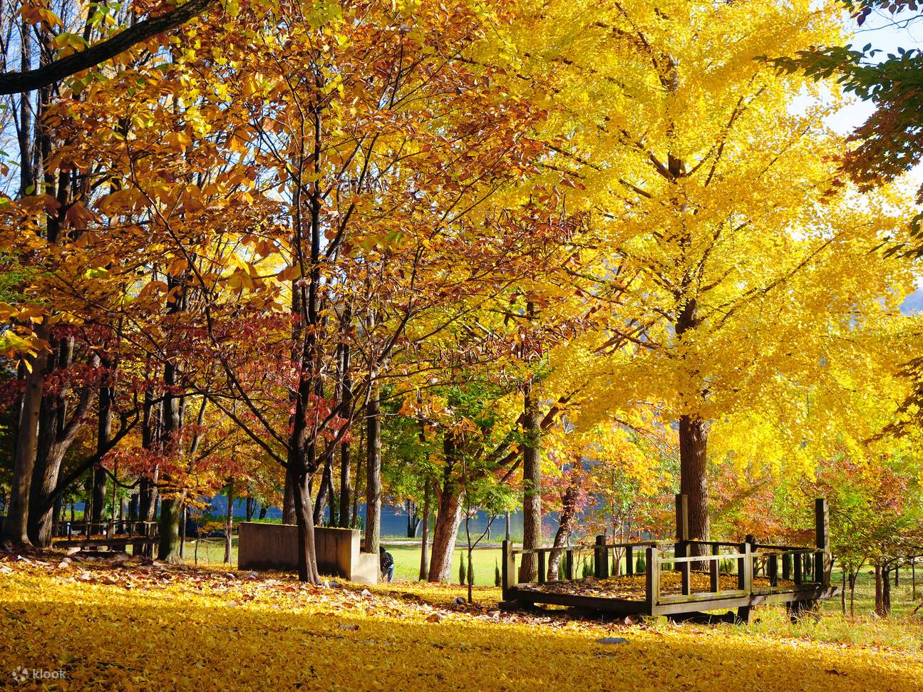 Билет на остров Нами