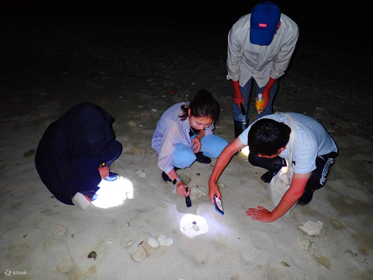 [Ishigaki Island/Night] Stargazing & Jungle Night Tour