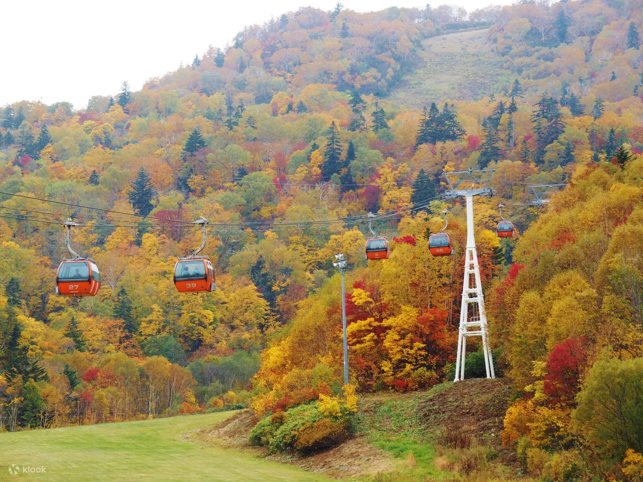 Book Hoheikyo Electric Bus Sapporo Kokusai Ski Resort Koyo Gondola Round Trip Ticket Klook客路