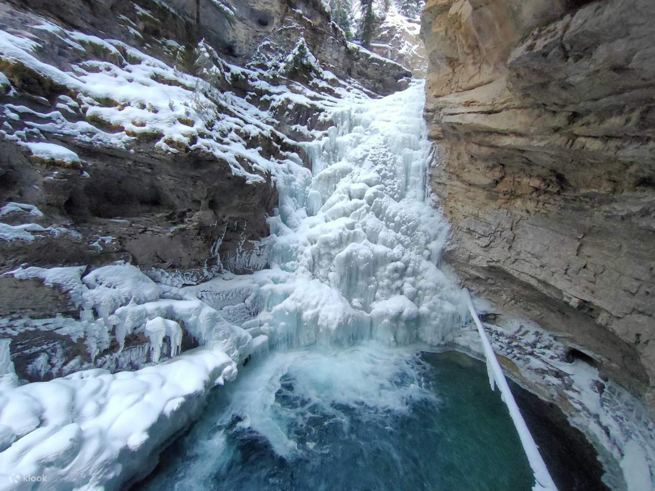 Banff Wildlife Explore and Johnston Canyon Icewalk Tour - Klook États-Unis