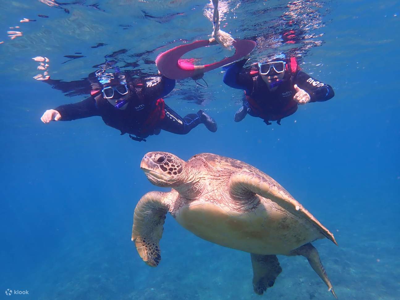 Pingtung: Kedai Snorkeling 369 - Pengalaman Snorkeling Xiaoliuqiu Foto Digital Percuma