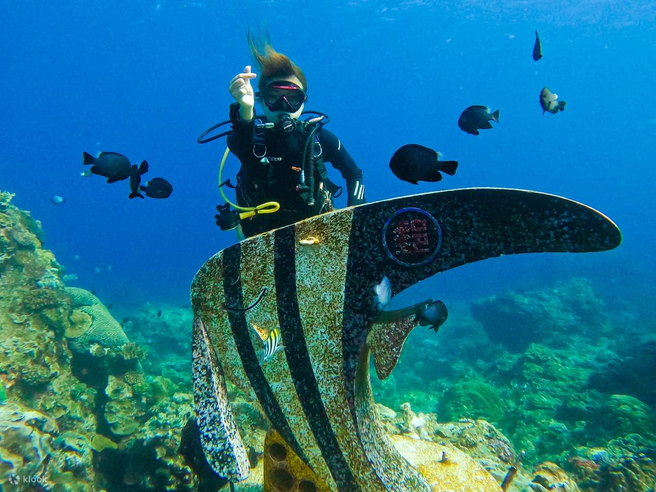 Taitung: Green Island Shuiqing Diving Hostel Taucherlebnis