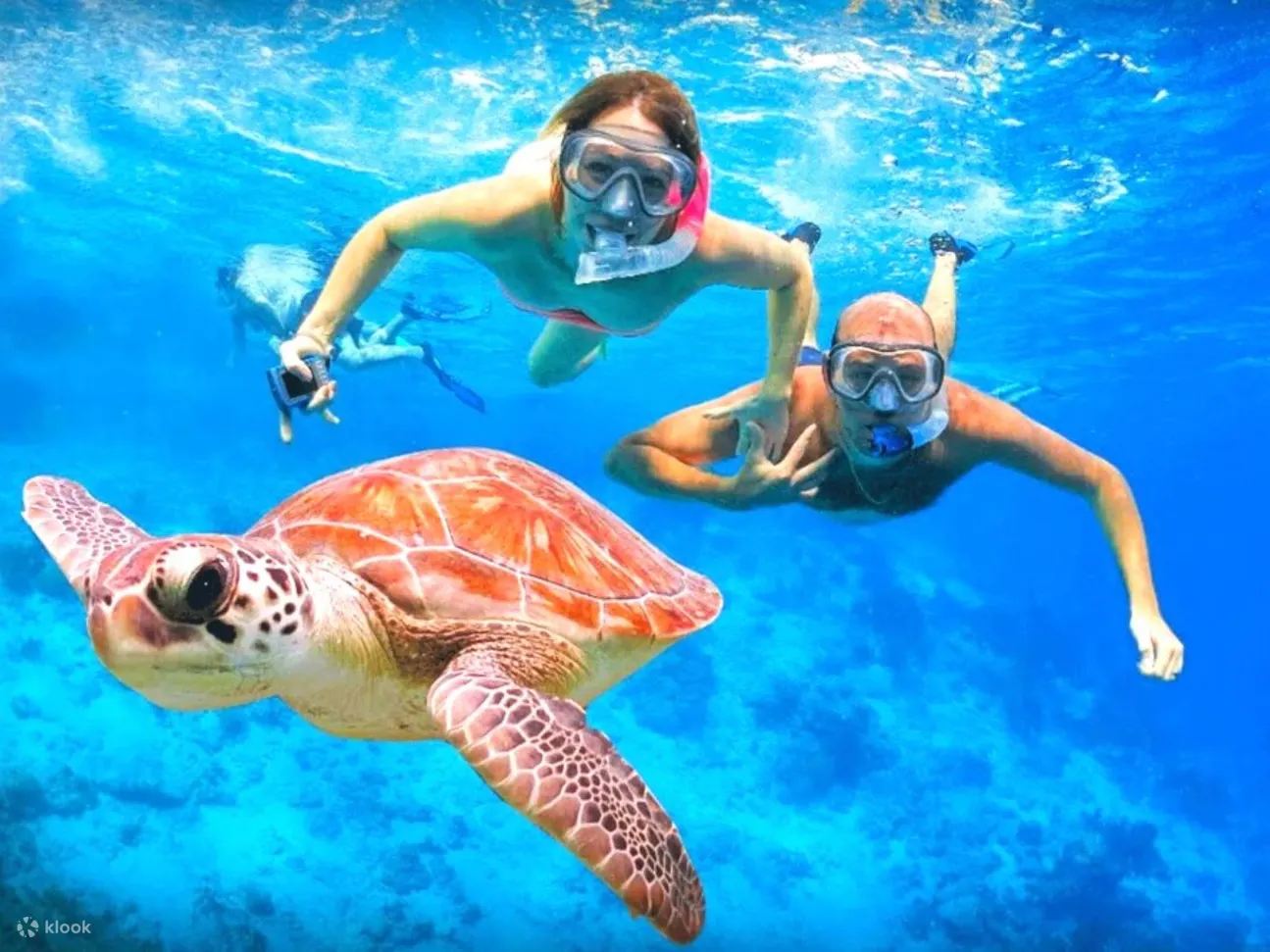 艾湄湾浮潜体验