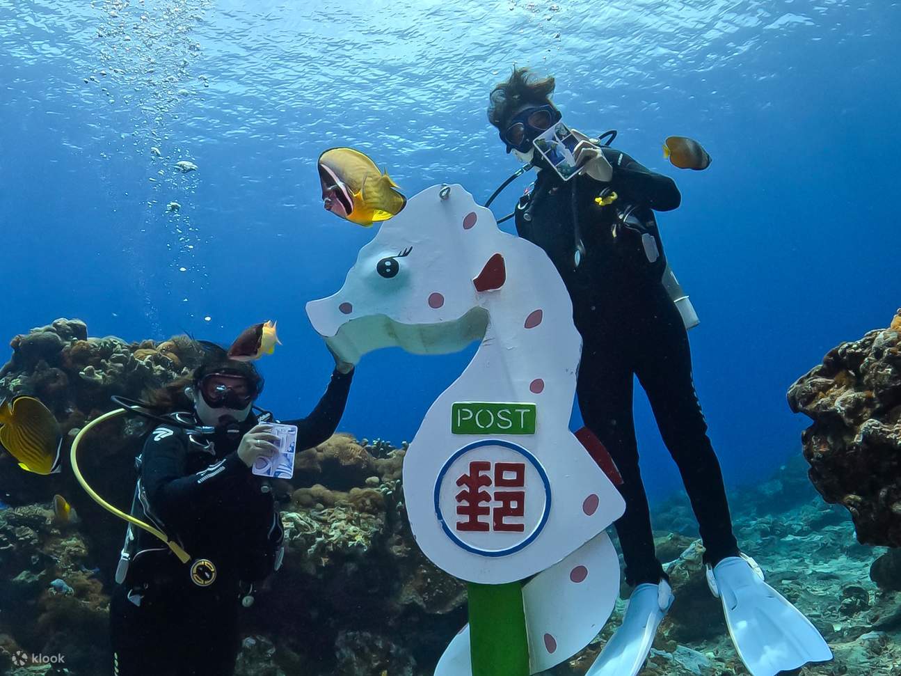 Taitung: Green Island Shuiqing Diving Hostel Taucherlebnis