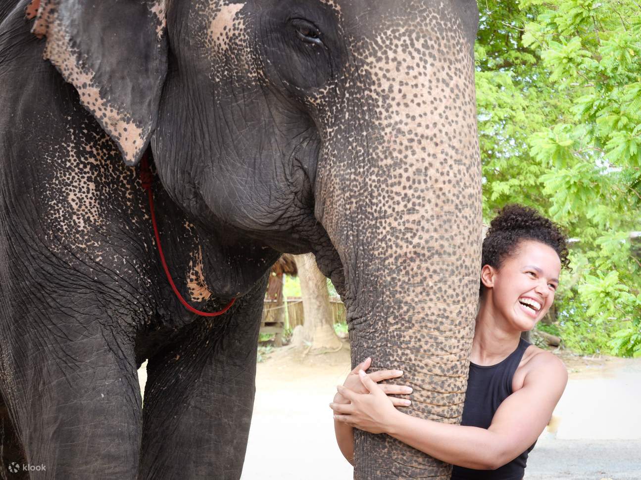 Aonang Elephant Sanctuary Erlebnis