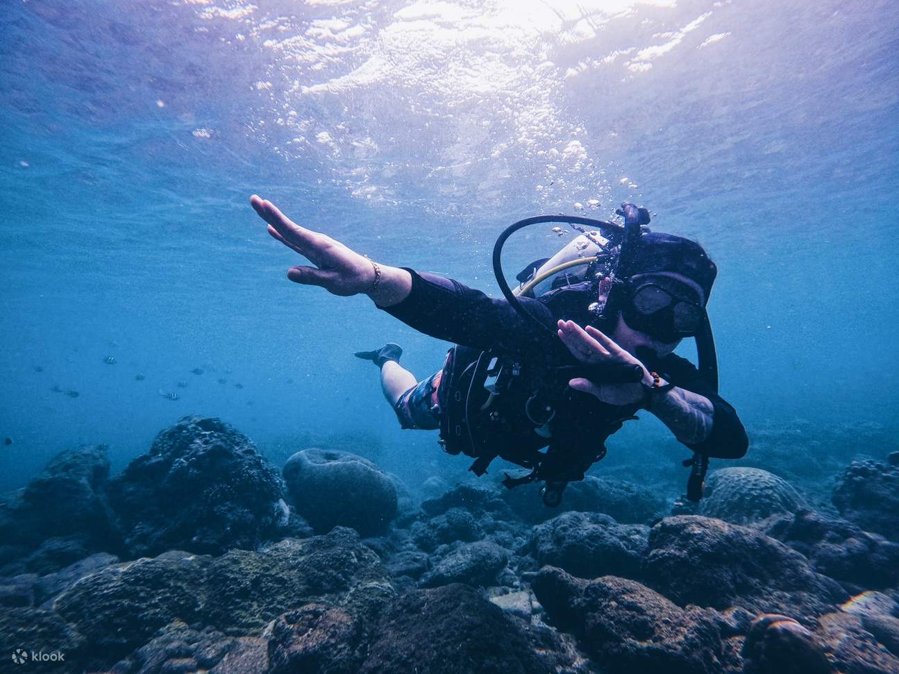 Pingtung Kenting｜Scuba diving (no license required)｜After class can be