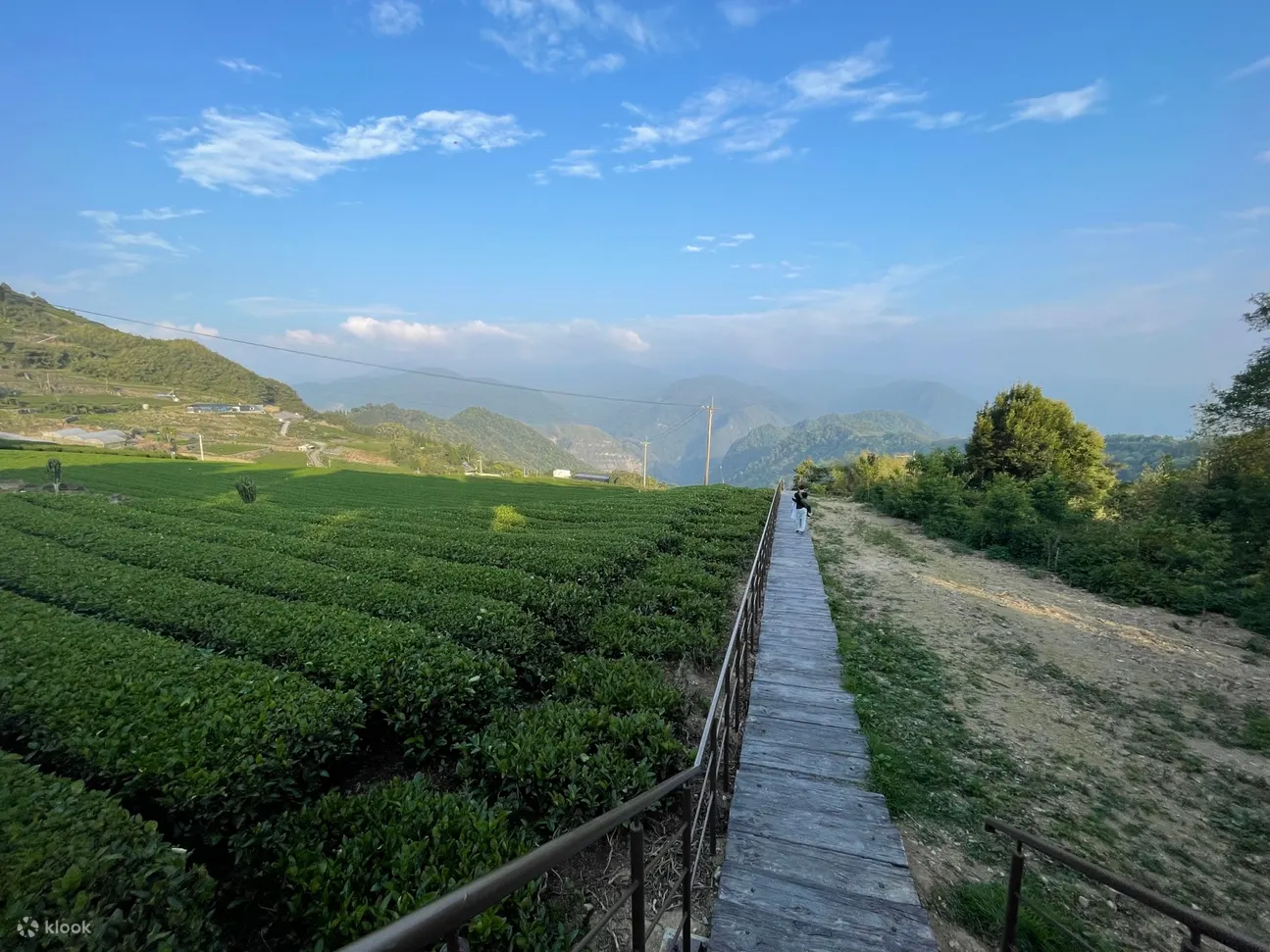阿里山 & 奋起湖