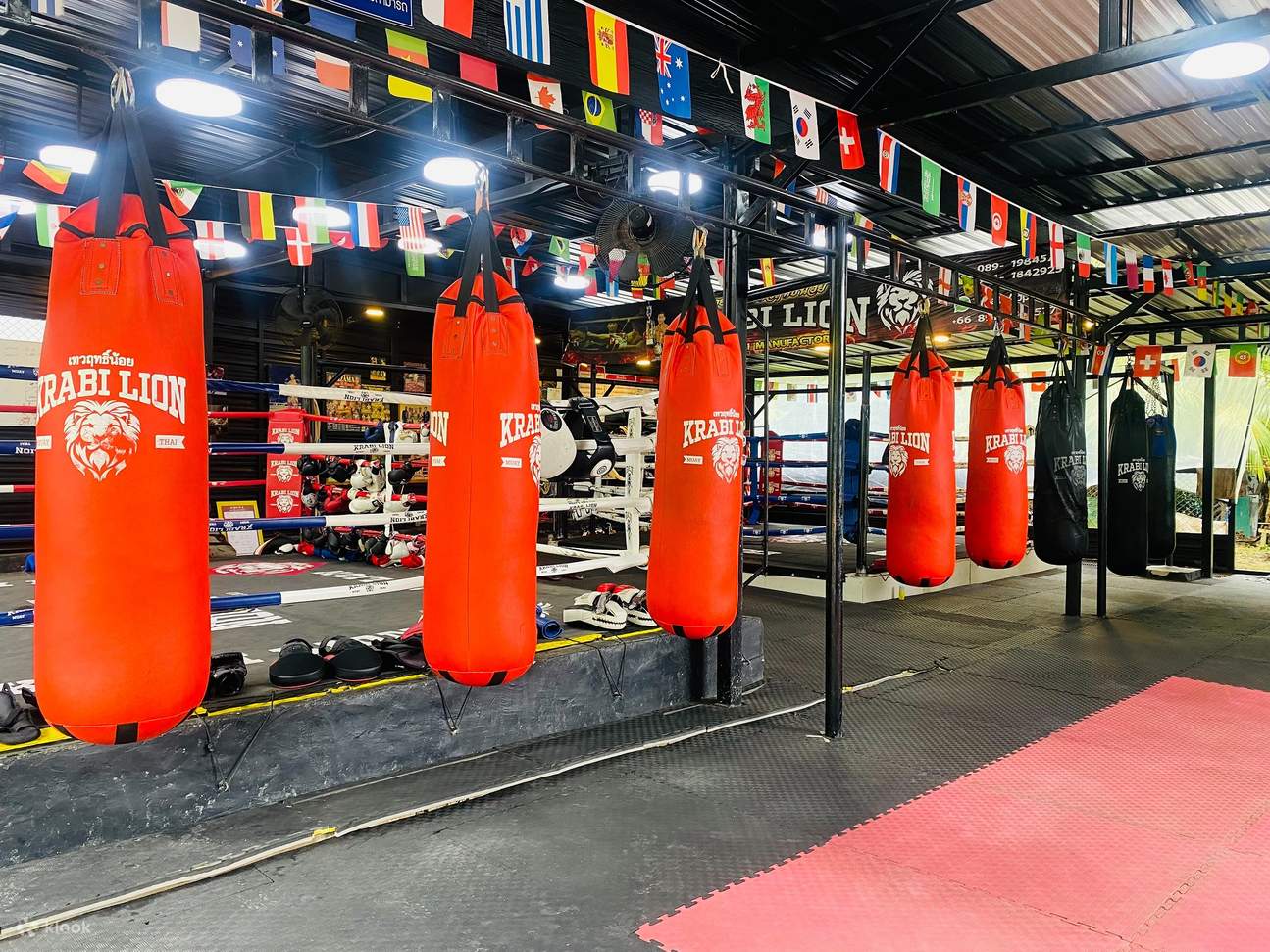 Clase de Muaythai Krabi Lion en Krabi