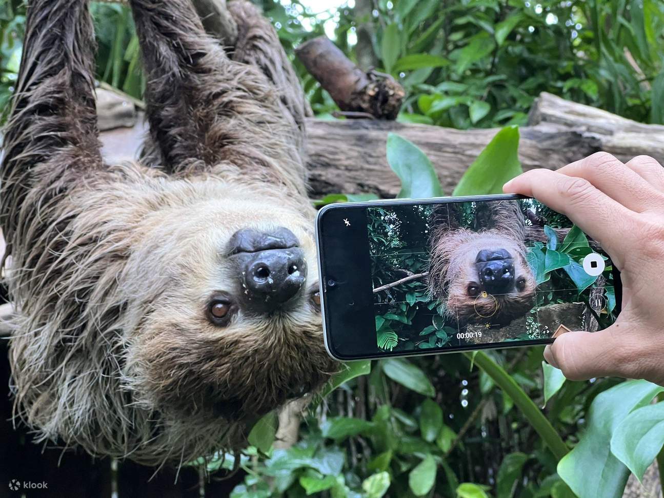 カオキアオ動物園 プライベートツアー（チョンブリー）