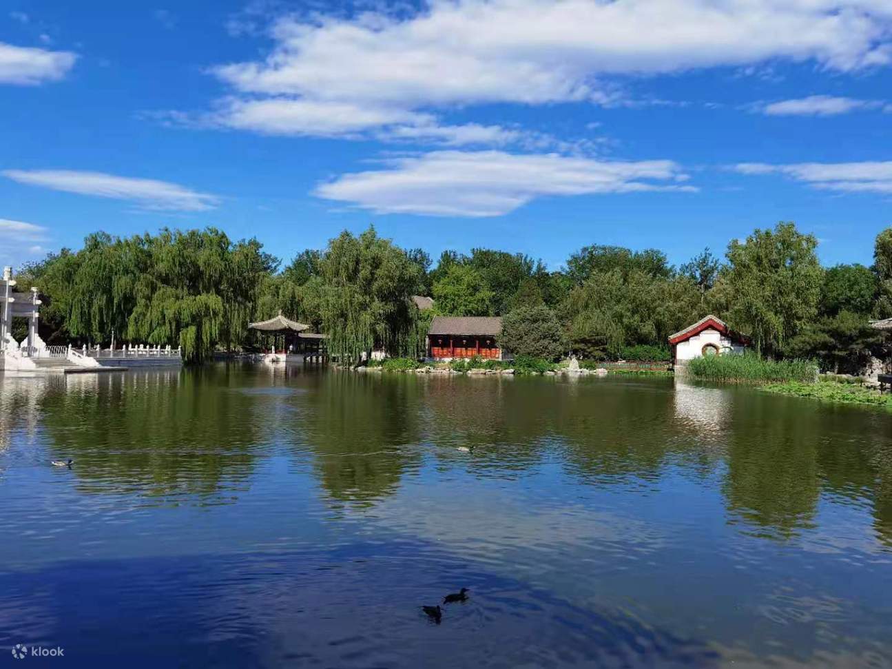 Pengalaman Seni Teh Cina - Ketahui tentang Budaya Teh Cina di Grand View Garden, Beijing (Kemasukan Percuma)_Eatwith